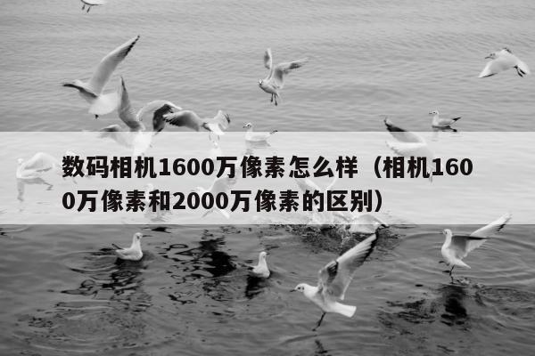 数码相机1600万像素怎么样（相机1600万像素和2000万像素的区别）