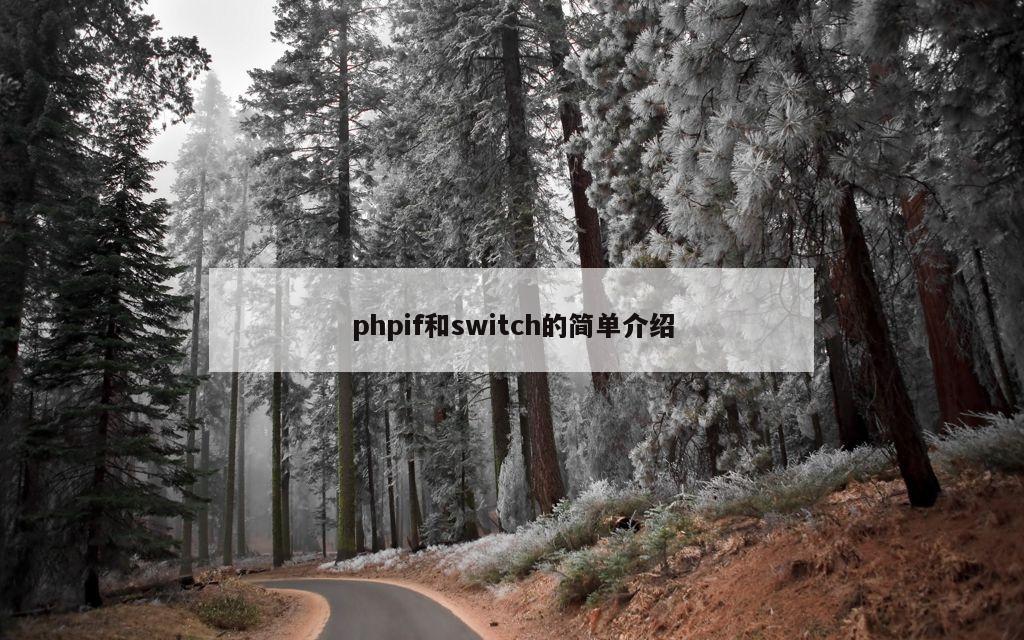 phpif和switch的简单介绍