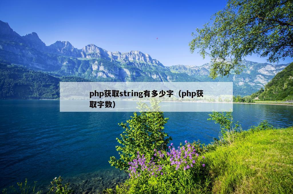 php获取string有多少字（php获取字数）