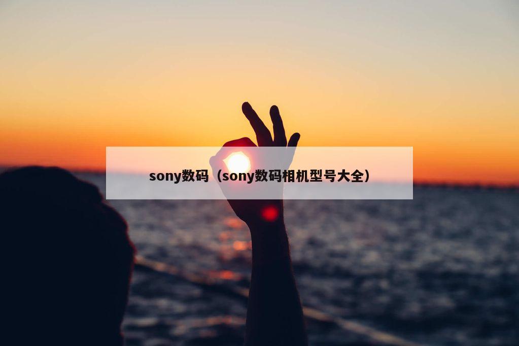 sony数码（sony数码相机型号大全）