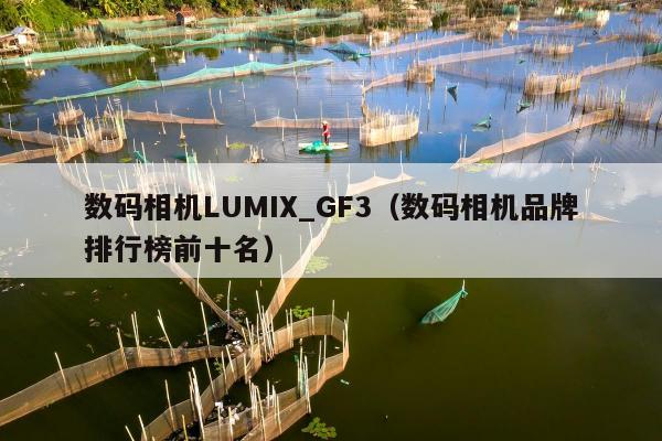 数码相机LUMIX_GF3（数码相机品牌排行榜前十名）