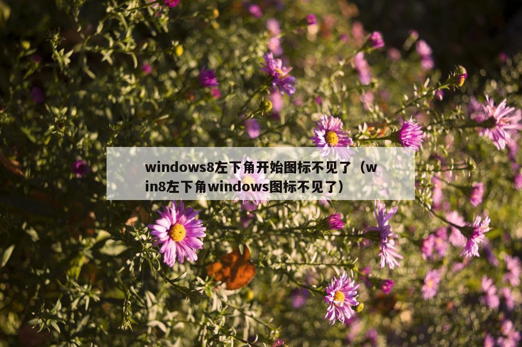 windows8左下角开始图标不见了（win8左下角windows图标不见了）