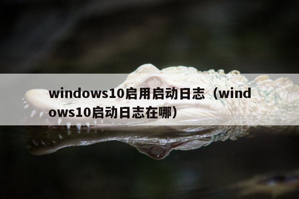 windows10启用启动日志（windows10启动日志在哪）