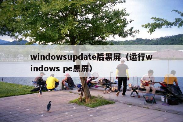 windowsupdate后黑屏（运行windows pe黑屏）