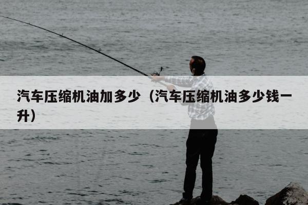 汽车压缩机油加多少（汽车压缩机油多少钱一升）