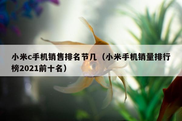 小米c手机销售排名节几（小米手机销量排行榜2021前十名）