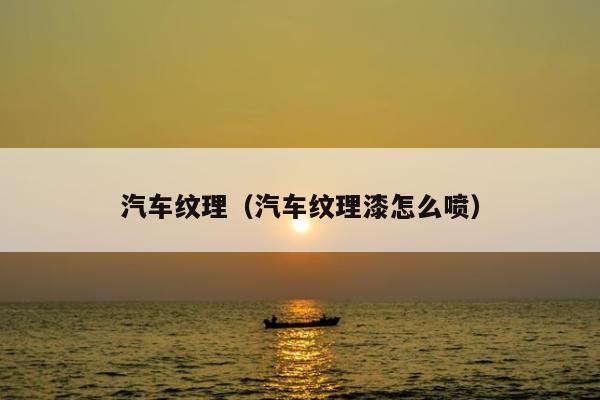 汽车纹理（汽车纹理漆怎么喷）