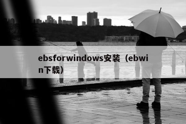 ebsforwindows安装（ebwin下载）