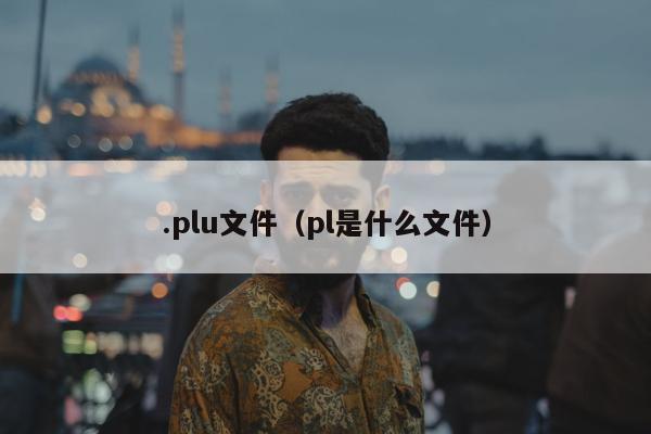 .plu文件（pl是什么文件）