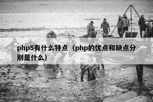 php5有什么特点（php的优点和缺点分别是什么）