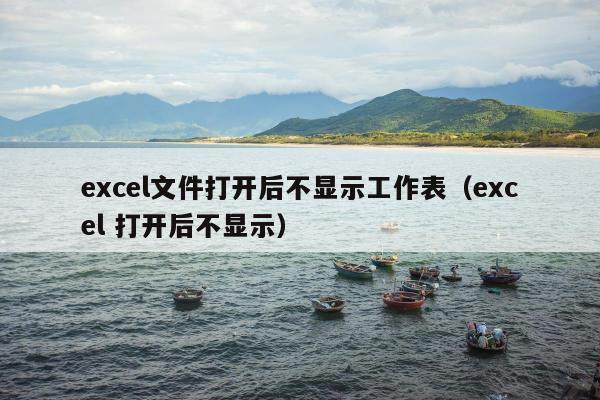 excel文件打开后不显示工作表（excel 打开后不显示）