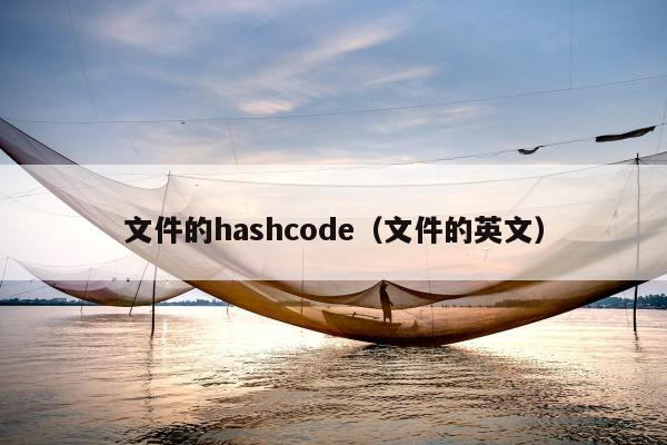 文件的hashcode（文件的英文）