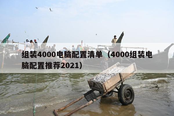 组装4000电脑配置清单（4000组装电脑配置推荐2021）