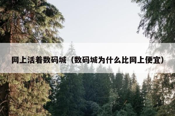 网上活着数码城（数码城为什么比网上便宜）