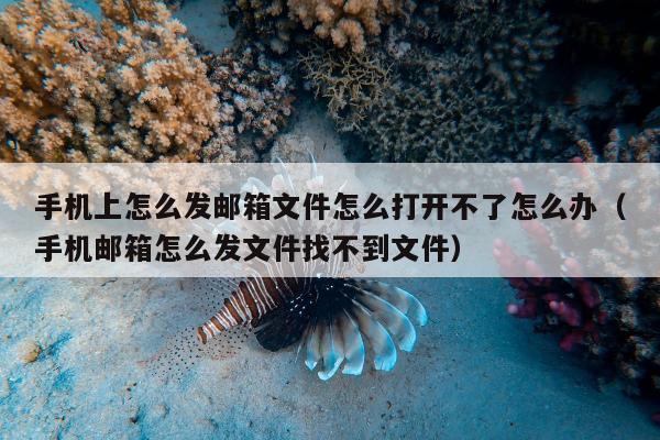 手机上怎么发邮箱文件怎么打开不了怎么办（手机邮箱怎么发文件找不到文件）