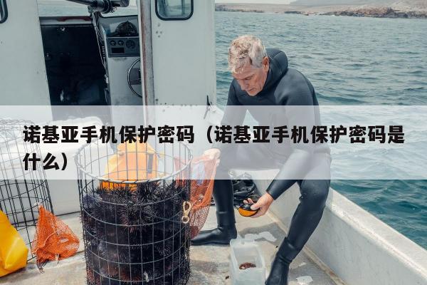 诺基亚手机保护密码（诺基亚手机保护密码是什么）