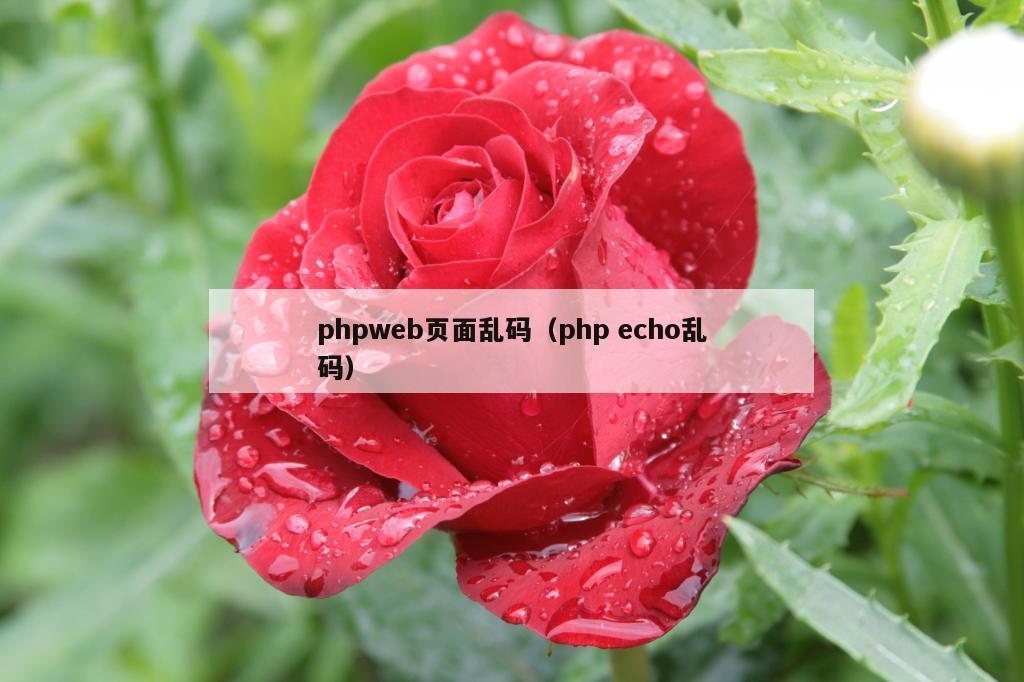 phpweb页面乱码（php echo乱码）