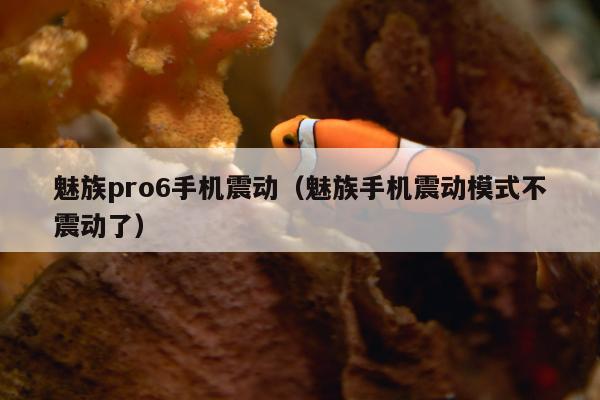 魅族pro6手机震动（魅族手机震动模式不震动了）