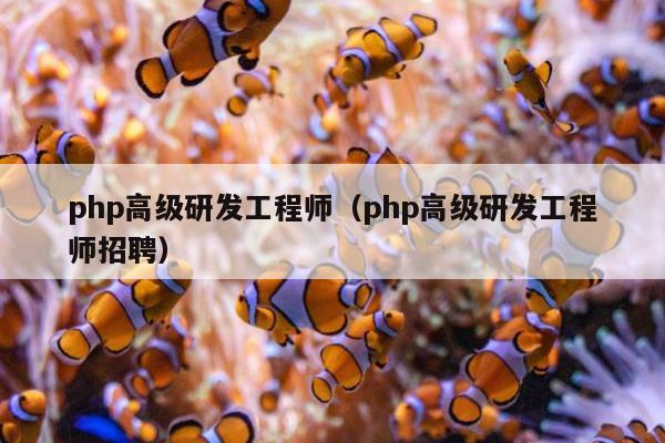 php高级研发工程师（php高级研发工程师招聘）