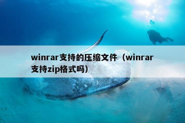 winrar支持的压缩文件（winrar支持zip格式吗）