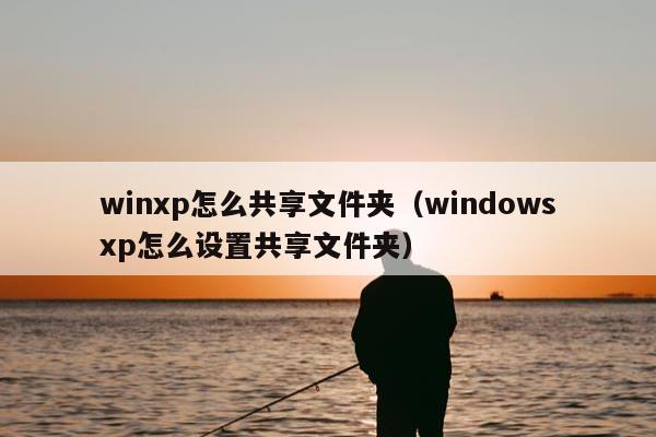 winxp怎么共享文件夹（windowsxp怎么设置共享文件夹）