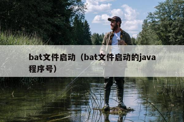 bat文件启动（bat文件启动的java程序号）