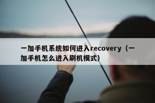 一加手机系统如何进入recovery（一加手机怎么进入刷机模式）