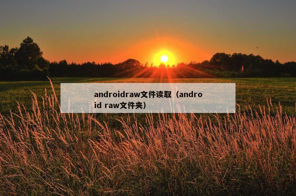 androidraw文件读取（android raw文件夹）