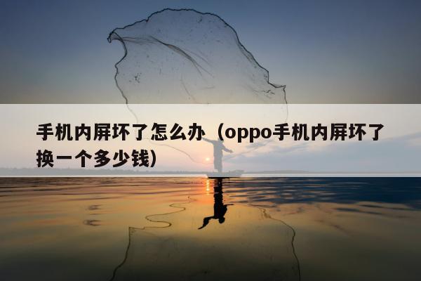 手机内屏坏了怎么办（oppo手机内屏坏了换一个多少钱）