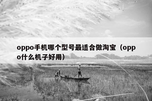 oppo手机哪个型号最适合做淘宝（oppo什么机子好用）