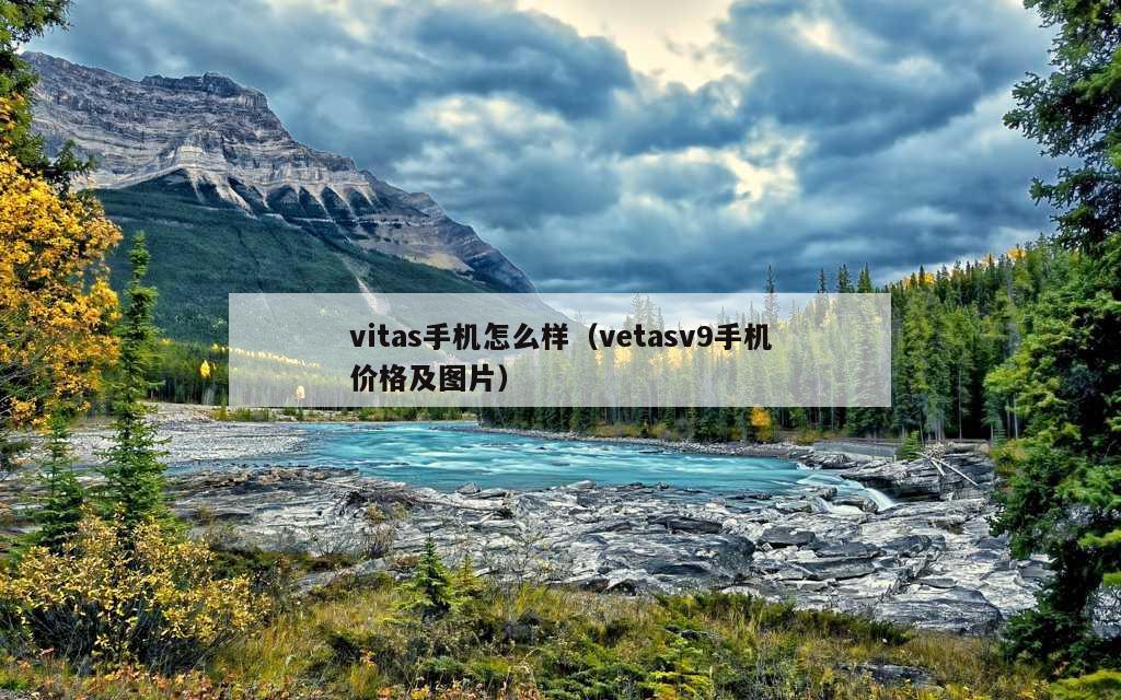 vitas手机怎么样（vetasv9手机价格及图片）