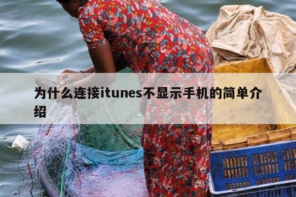 为什么连接itunes不显示手机的简单介绍