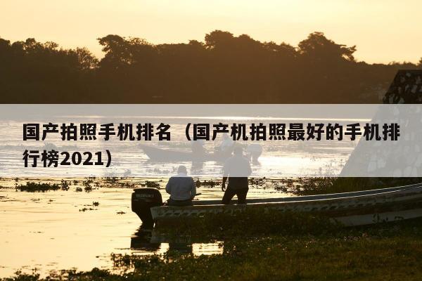 国产拍照手机排名（国产机拍照最好的手机排行榜2021）