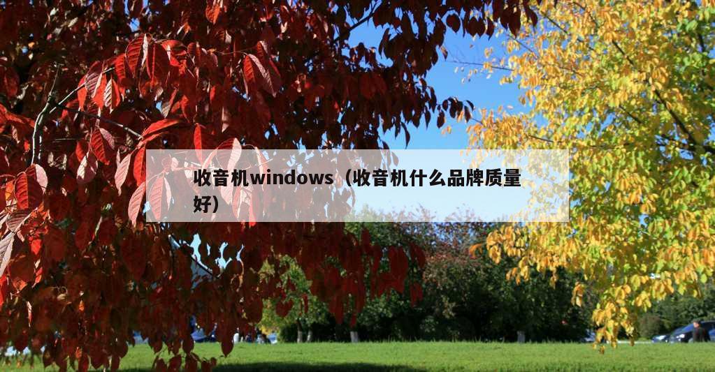 收音机windows（收音机什么品牌质量好）