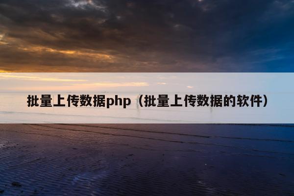 批量上传数据php（批量上传数据的软件）