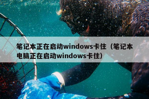 笔记本正在启动windows卡住（笔记本电脑正在启动windows卡住）