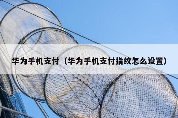 华为手机支付（华为手机支付指纹怎么设置）