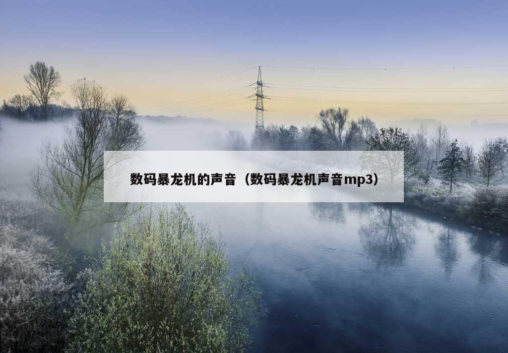 数码暴龙机的声音（数码暴龙机声音mp3）