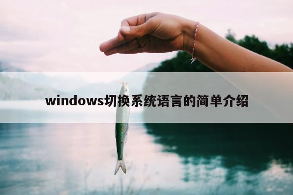 windows切换系统语言的简单介绍