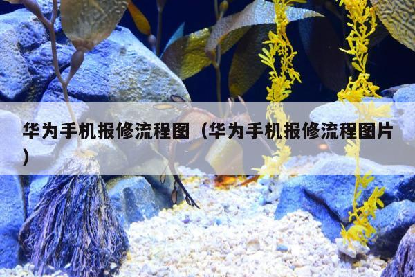 华为手机报修流程图（华为手机报修流程图片）