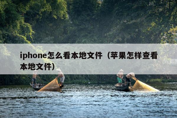 iphone怎么看本地文件（苹果怎样查看本地文件）