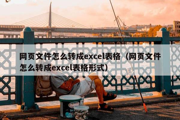 网页文件怎么转成excel表格（网页文件怎么转成excel表格形式）