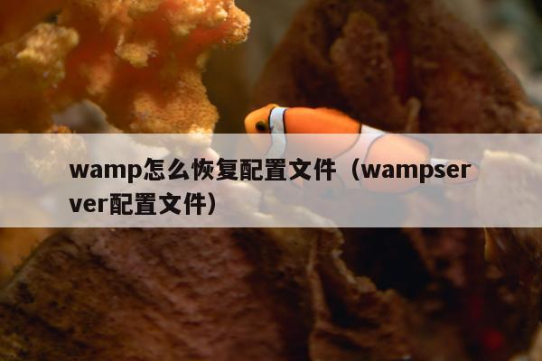 wamp怎么恢复配置文件（wampserver配置文件）