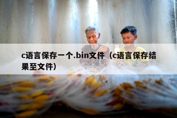 c语言保存一个.bin文件（c语言保存结果至文件）