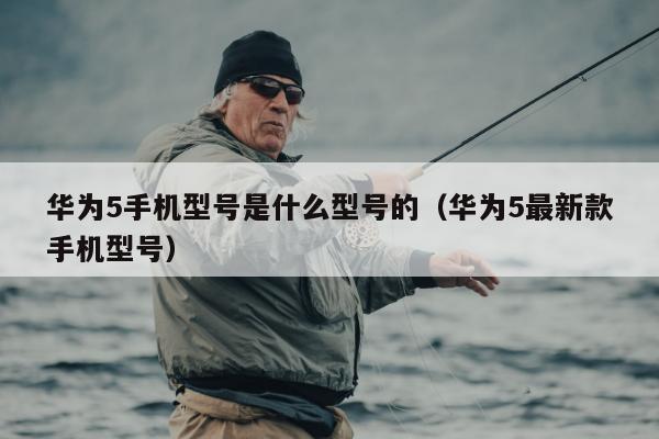 华为5手机型号是什么型号的（华为5最新款手机型号）