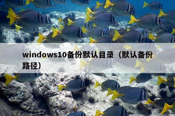 windows10备份默认目录（默认备份路径）