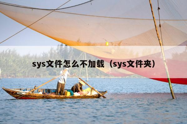 sys文件怎么不加载（sys文件夹）