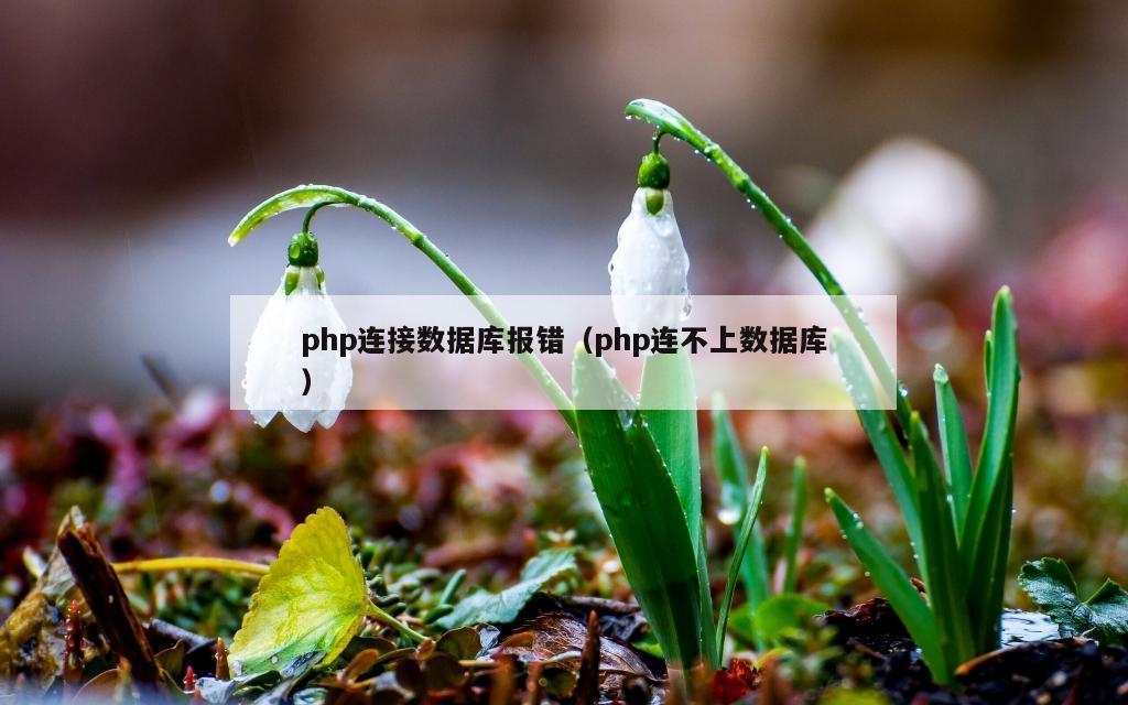 php连接数据库报错（php连不上数据库）