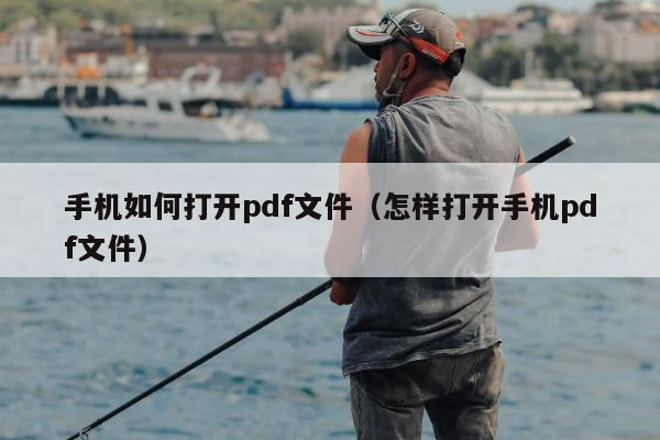 手机如何打开pdf文件（怎样打开手机pdf文件）