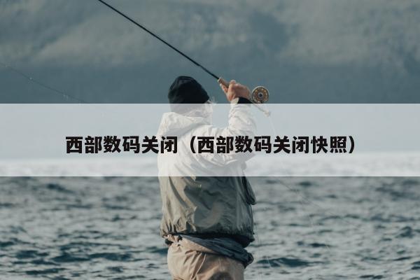 西部数码关闭（西部数码关闭快照）